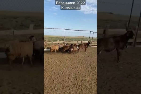 Как зайти на кракен через тор браузер