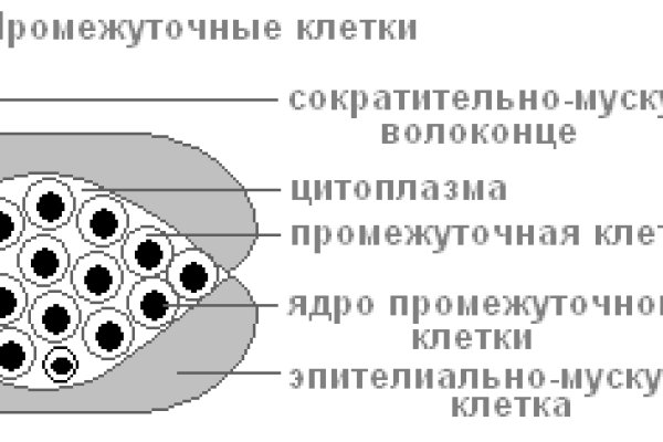 Настоящий сайт kraken