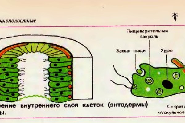 Как войти на сайт кракен