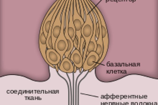 Ссылка на кракен 2krnk